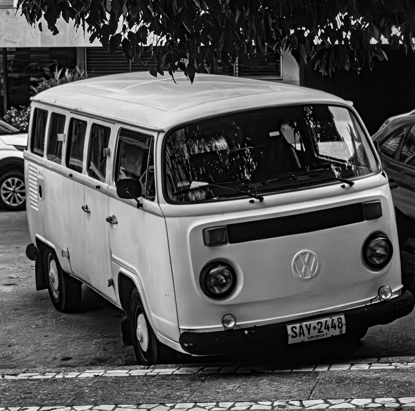 Fotografía en blanco y negro