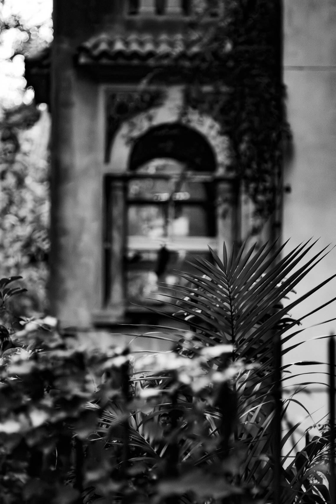 Fotografía en blanco y negro