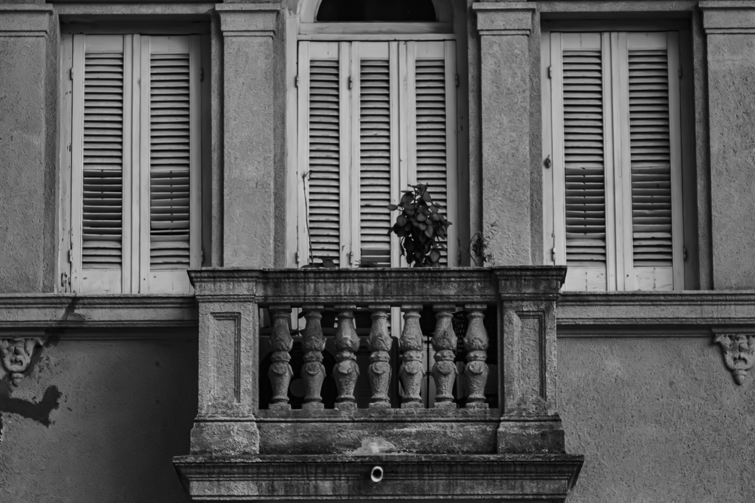 Fotografía en blanco y negro