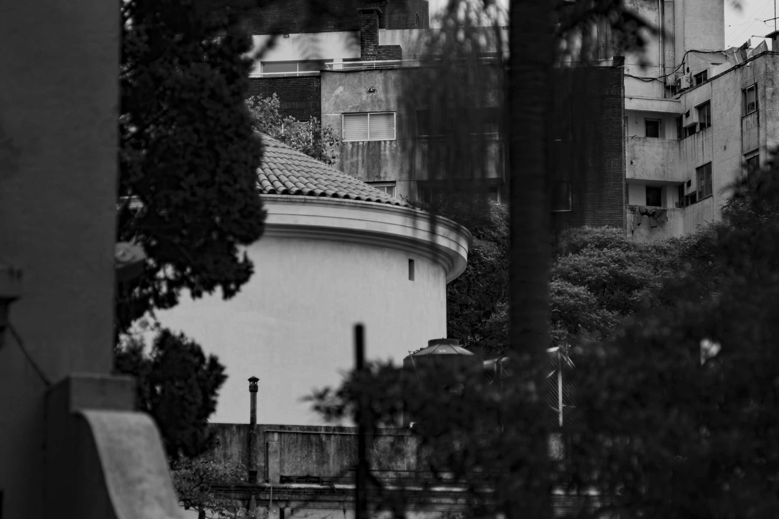 Fotografía en blanco y negro