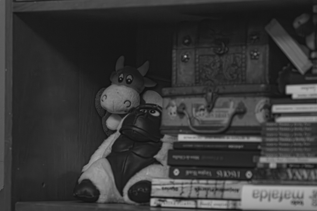 Fotografía en blanco y negro