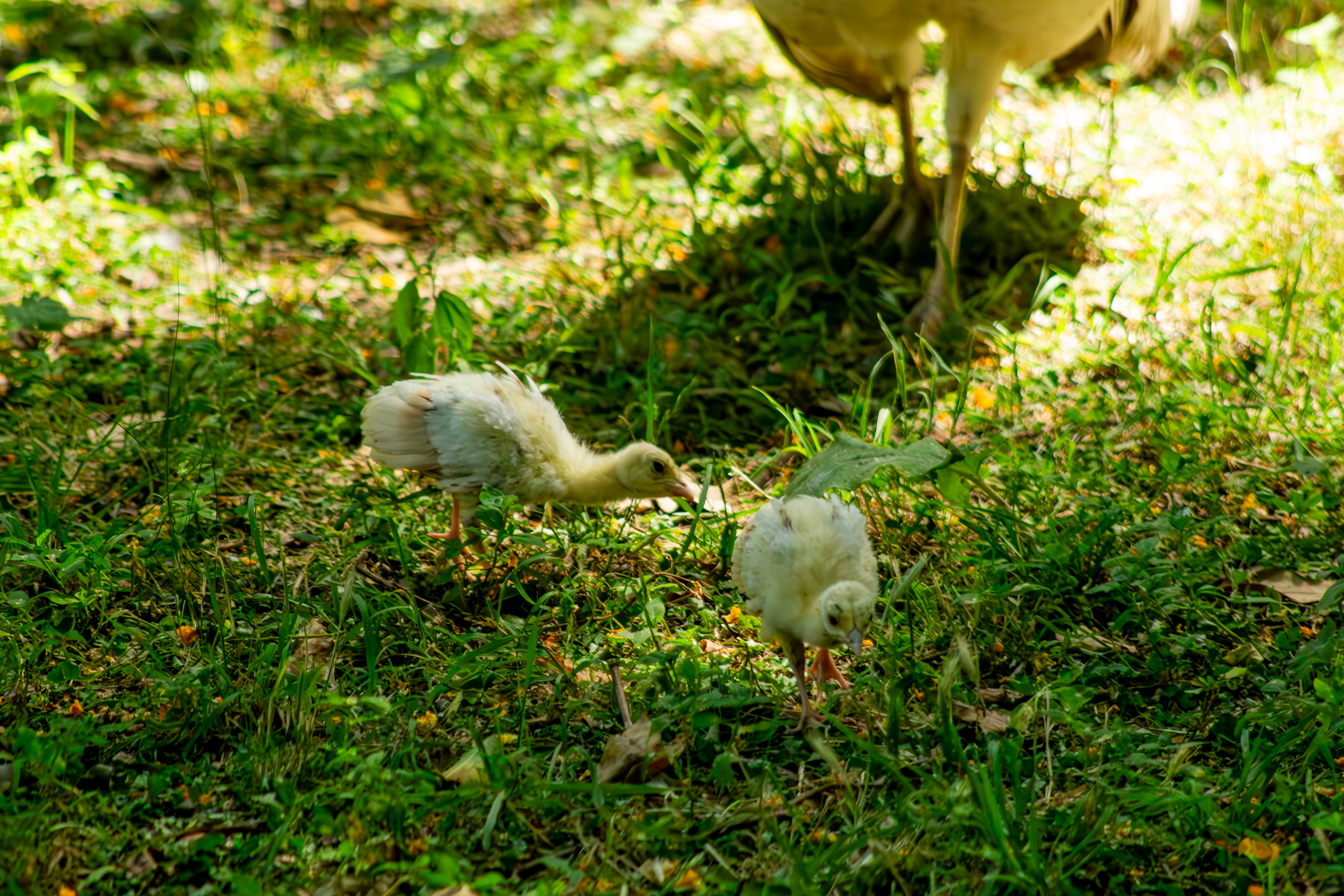 Naturaleza